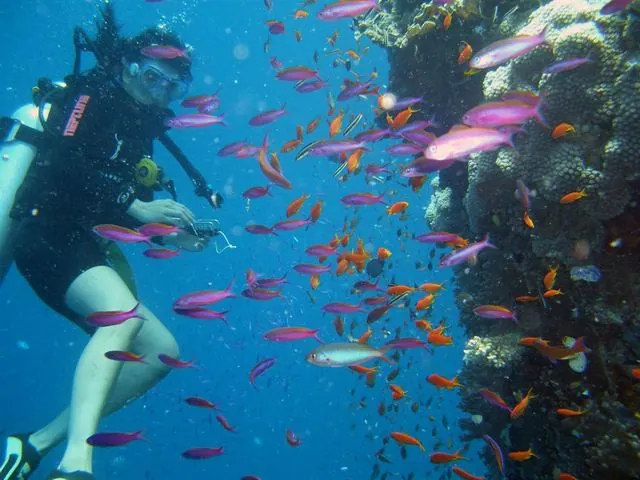 Diving