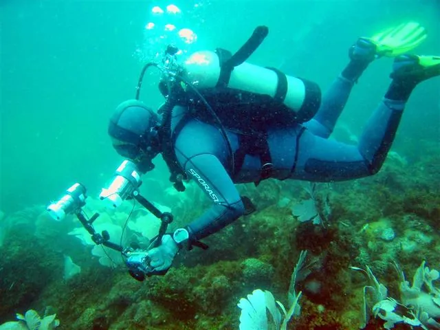 Diving