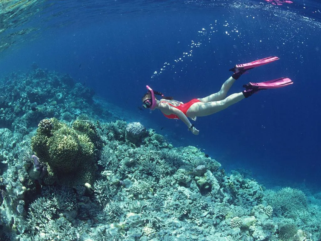 Diving