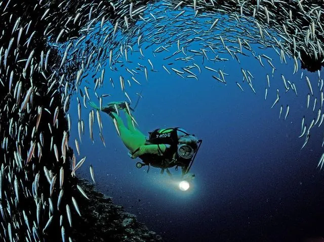 Diving