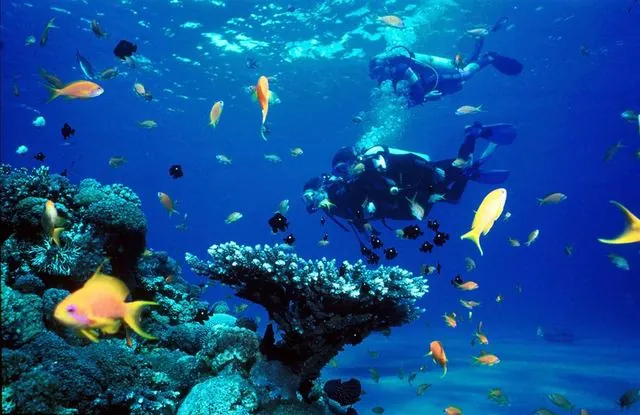 Diving in Adrasan 15