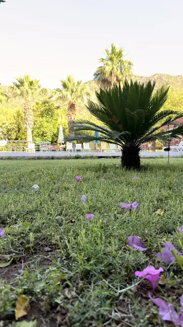 Adrasan Yazıcı Hotel, a shot of the hotel 7