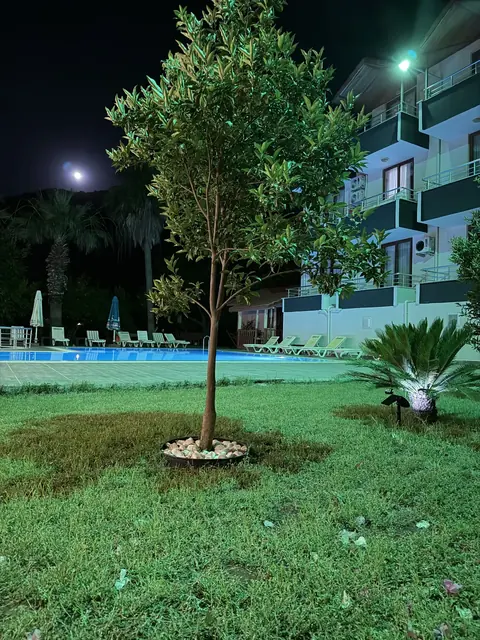 Adrasan Yazıcı Hotel, a shot of the hotel 10