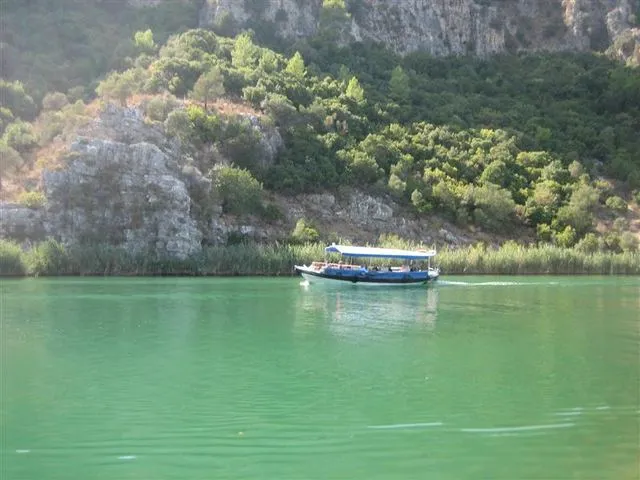 Boat Tour