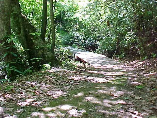 Hiking