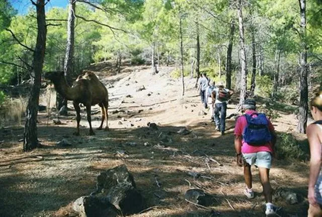Hiking