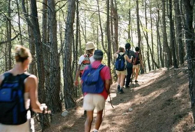 Hiking