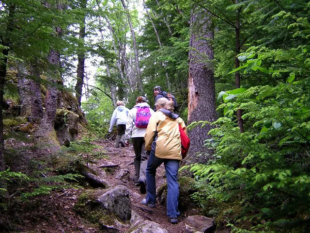 Hiking